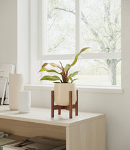 Load image into Gallery viewer, Almond Green stand:walnut