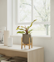 Load image into Gallery viewer, Olive stand:bamboo