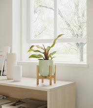 Load image into Gallery viewer, Turquoise stand:bamboo