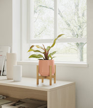 Load image into Gallery viewer, Calm Rose stand:bamboo