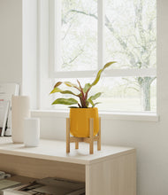 Load image into Gallery viewer, Mustard stand:bamboo
