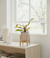 Load image into Gallery viewer, Eternal Gray stand:bamboo