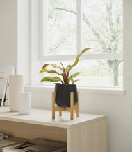 Load image into Gallery viewer, Black stand:bamboo