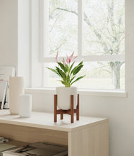 Load image into Gallery viewer, Natural Bamboo stand:walnut