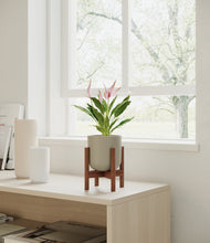 Load image into Gallery viewer, Sage Green stand:walnut