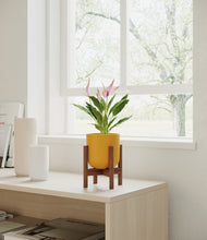 Load image into Gallery viewer, Sunset Orange stand:walnut