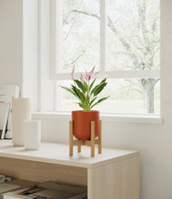 Load image into Gallery viewer, Earth Red stand:bamboo