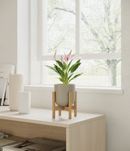 Load image into Gallery viewer, Sage Green stand:bamboo