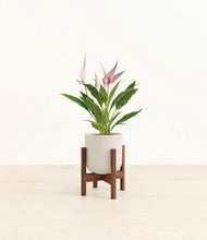 Load image into Gallery viewer, Natural Bamboo stand:walnut