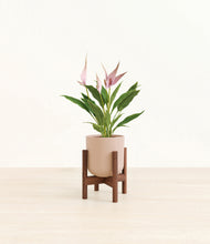 Load image into Gallery viewer, Sandy Pink stand:walnut