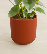 Load image into Gallery viewer, Earth Red stand:all