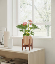 Load image into Gallery viewer, Glossy Pink stand:walnut