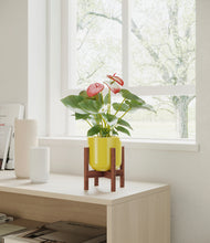 Load image into Gallery viewer, Key Lime Yellow stand:walnut