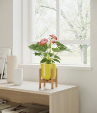 Load image into Gallery viewer, Key Lime Yellow stand:bamboo