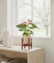 Load image into Gallery viewer, Sandy Pink stand:walnut