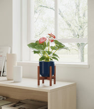 Load image into Gallery viewer, Twilight Blue stand:walnut