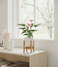 Load image into Gallery viewer, Natural Bamboo stand:bamboo