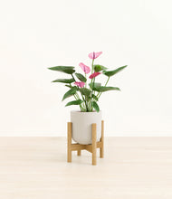 Load image into Gallery viewer, Natural Bamboo stand:bamboo
