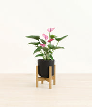 Load image into Gallery viewer, Stone Black stand:bamboo