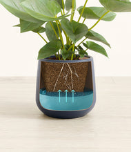 Load image into Gallery viewer, Deep Navy