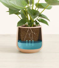 Load image into Gallery viewer, Gentle Pink