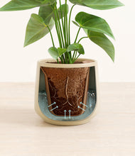 Load image into Gallery viewer, Almond Green stand:all