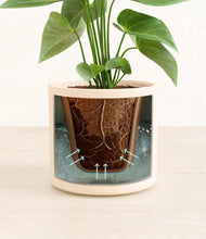 Load image into Gallery viewer, Cream stand:all