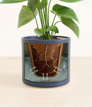 Load image into Gallery viewer, Deep Navy stand:all