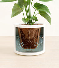 Load image into Gallery viewer, White stand:all