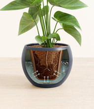 Load image into Gallery viewer, Deep Navy stand:all