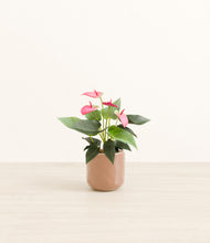 Load image into Gallery viewer, Hammered Peach Pink*****Profile