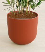 Load image into Gallery viewer, Earth Red stand:all