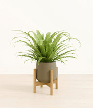 Load image into Gallery viewer, Olive stand:bamboo