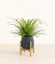 Load image into Gallery viewer, Deep Navy stand:bamboo