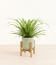 Load image into Gallery viewer, Turquoise stand:bamboo