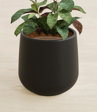 Load image into Gallery viewer, Black stand:all