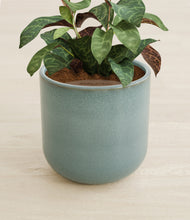 Load image into Gallery viewer, Reactive Aqua stand:all