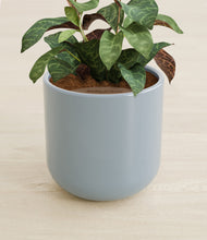 Load image into Gallery viewer, Misty Blue stand:all