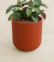 Load image into Gallery viewer, Earth Red stand:all