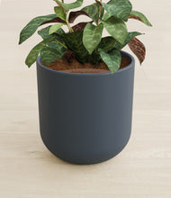 Load image into Gallery viewer, Iron Gray stand:all