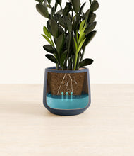 Load image into Gallery viewer, Deep Navy