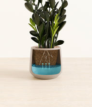 Load image into Gallery viewer, Eternal Gray