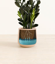 Load image into Gallery viewer, Gentle Pink