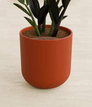 Load image into Gallery viewer, Earth Red stand:all