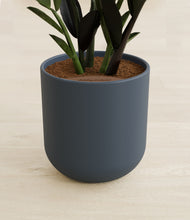 Load image into Gallery viewer, Iron Gray stand:all