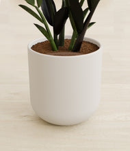 Load image into Gallery viewer, Natural Bamboo stand:all