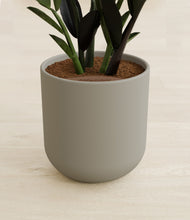 Load image into Gallery viewer, Sage Green stand:all