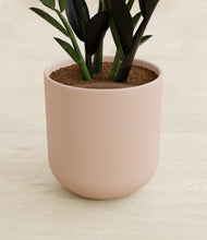 Load image into Gallery viewer, Sandy Pink stand:all