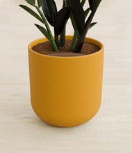 Load image into Gallery viewer, Sunset Orange stand:all