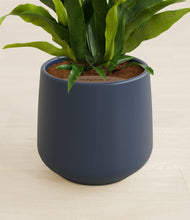 Load image into Gallery viewer, Deep Navy stand:all